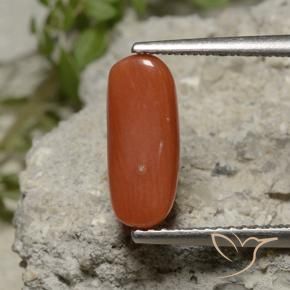Coral Gemstone in 11.9 x 5 mm Size for Sale, Coral Stone in Light Red Color