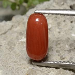 Medium Red Coral Gem - 1.8ct Oval Cabochon (ID: 499210)