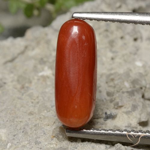 2.13 ct Red Coral, 12.5 x 4.9 mm Oval Cut From Australia, Photo A