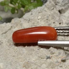 2.13 ct Red Coral Stone, Natural Coral in Oval Cabochon Shape for Sale