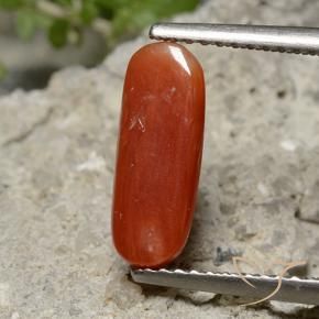 Coral Gemstone in 12.5 x 4.9 mm Size for Sale, Coral Stone in Medium Red Color