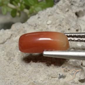 1.69 ct Red Coral Stone, Natural Coral in Oval Cabochon Shape for Sale