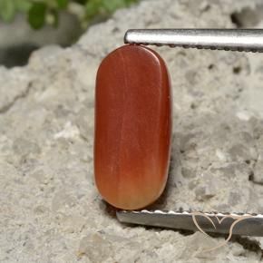 Coral Gemstone in 10.3 x 4.8 mm Size for Sale, Coral Stone in Medium Red Color