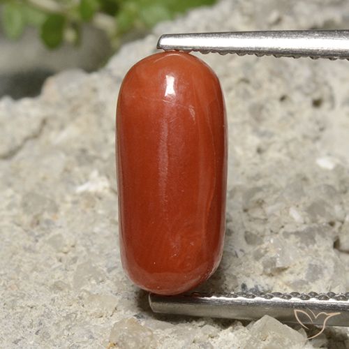 2.26 ct Red Coral, 11.4 x 5.2 mm Oval Cut From Australia, Photo A