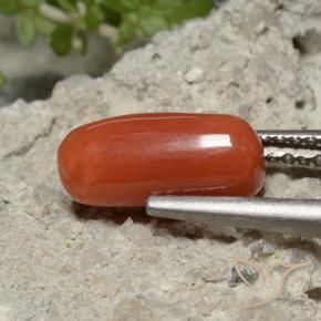 2.26 ct Red Coral Stone, Natural Coral in Oval Cabochon Shape for Sale
