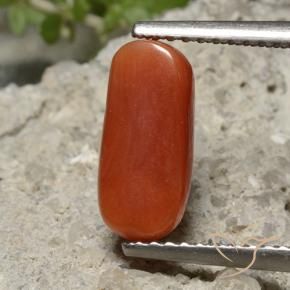 Coral Gemstone in 11.4 x 5.2 mm Size for Sale, Coral Stone in Medium Red Color