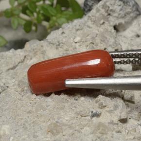 2.68 ct Red Coral Stone, Natural Coral in Oval Cabochon Shape for Sale