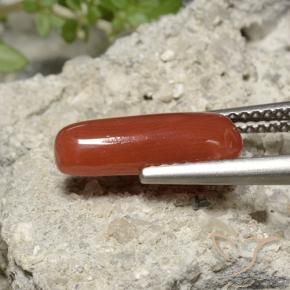 2.22 ct Red Coral Stone, Natural Coral in Oval Cabochon Shape for Sale