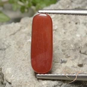 Coral Gemstone in 13.5 x 5.1 mm Size for Sale, Coral Stone in Orange Red Color