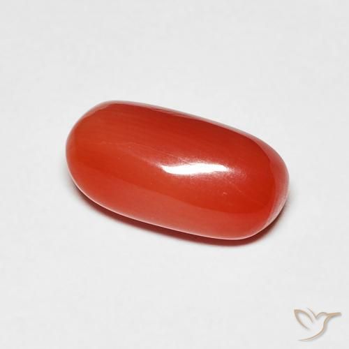 2.11 ct Red Coral Stone, Natural Coral in Oval Cabochon Shape for Sale