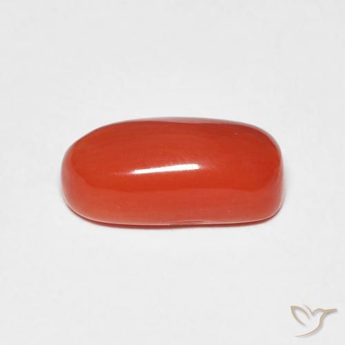 Coral Gemstone in 10.5 x 5.2 mm Size for Sale, Coral Stone in Medium Red Color