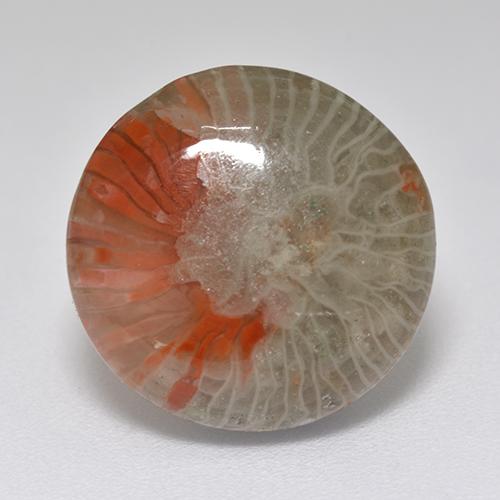 Coral Gemstones Buy Coral Gemstones at Affordable Prices