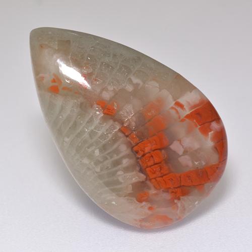 Multicolor Coral Gem - 8.3ct Pear Cabochon (ID: 515799)
