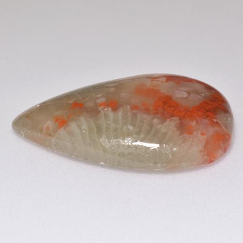 Coral Gemstone in 21.3 x 13.7 mm Size for Sale, Coral Stone in Multicolor Color
