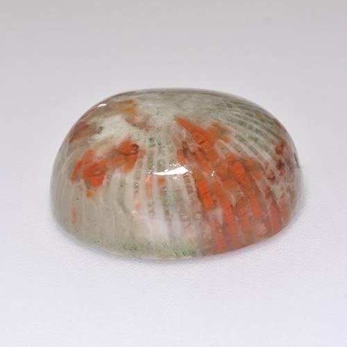 Coral Gemstone in 16.7 x 13.6 mm Size for Sale, Coral Stone in Multicolor Color