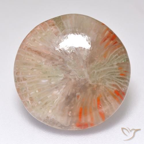 8.32 ct Round Coral, 15.1 mm From Indonesia, Photo A