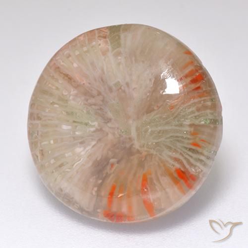 8.32 ct Multicolor Coral Stone, Natural Coral in Round Cabochon Shape for Sale
