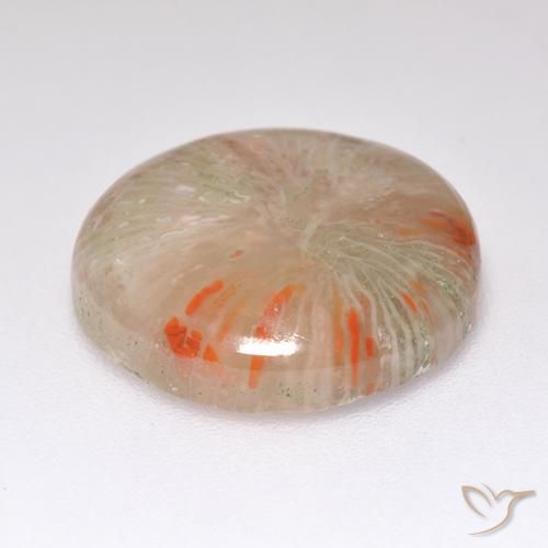 Coral Gemstone in 15 mm (calibrated) Size for Sale, Coral Stone in Multicolor Color