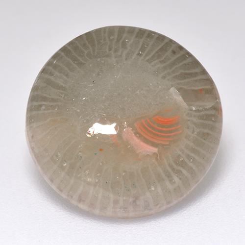 7.11 ct Multicolor Coral Gemstone, Coral Gem in Round Cabochon Shape for Sale.