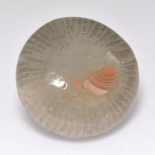 7.11 ct Multicolor Coral Stone, Natural Coral in Round Cabochon Shape for Sale