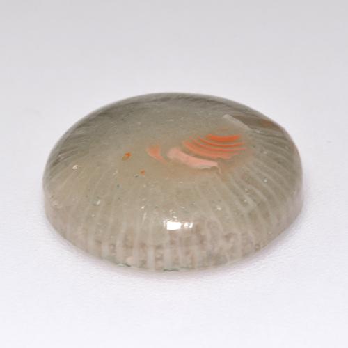 Coral Gemstone in 14 mm (calibrated) Size for Sale, Coral Stone in Multicolor Color