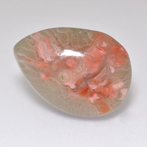 5.97 ct Multicolor Coral Stone, Natural Coral in Pear Cabochon Shape for Sale