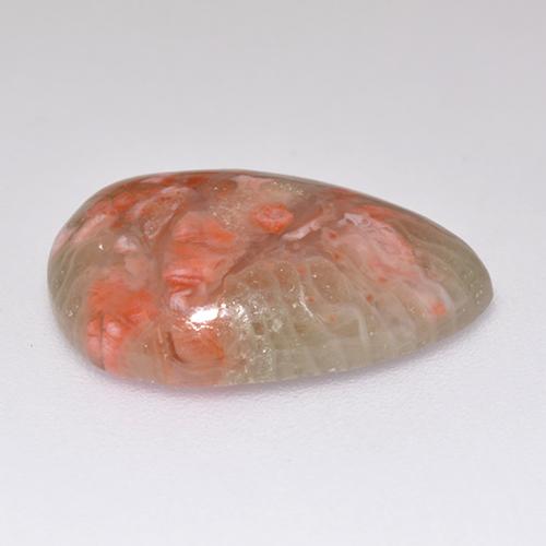 Coral Gemstone in 16 x 12 mm (calibrated) Size for Sale, Coral Stone in Multicolor Color