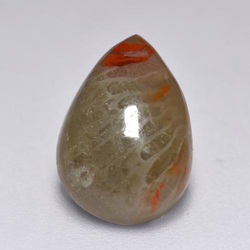 Multicolor Coral Gem - 2.2ct Pear Cabochon (ID: 517231)