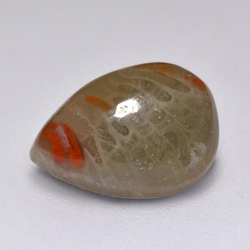 2.23 ct Multicolor Coral Stone, Natural Coral in Pear Cabochon Shape for Sale