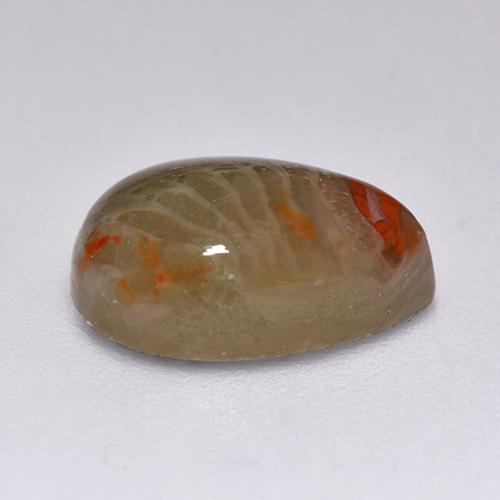 Coral Gemstone in 10.4 x 7.3 mm Size for Sale, Coral Stone in Multicolor Color