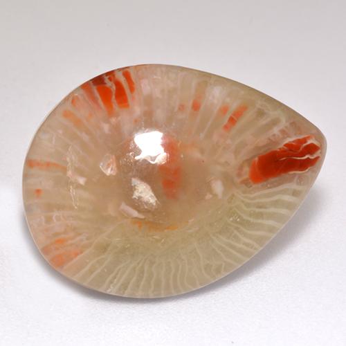 9.83 ct Multicolor Coral Stone, Natural Coral in Pear Cabochon Shape for Sale