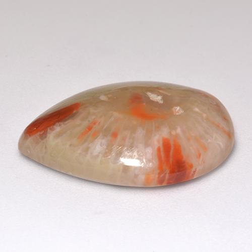 Coral Gemstone in 20 x 15 mm (calibrated) Size for Sale, Coral Stone in Multicolor Color