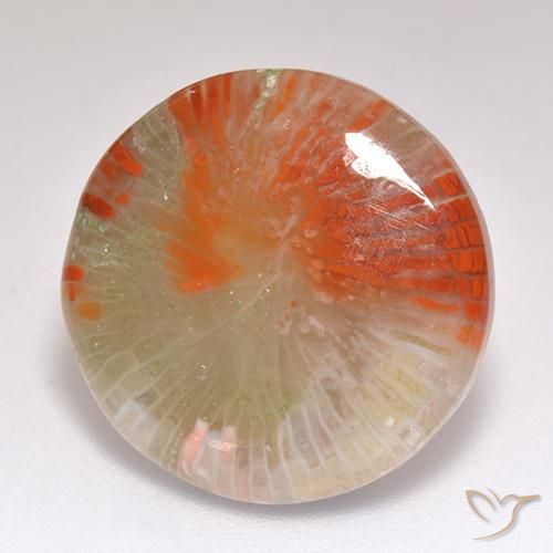 9.29 ct Multicolor Coral Stone, Natural Coral in Round Cabochon Shape for Sale
