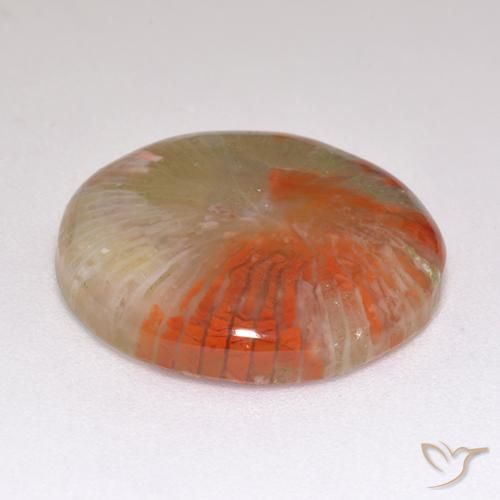 Coral Gemstone in 17 mm (calibrated) Size for Sale, Coral Stone in Multicolor Color