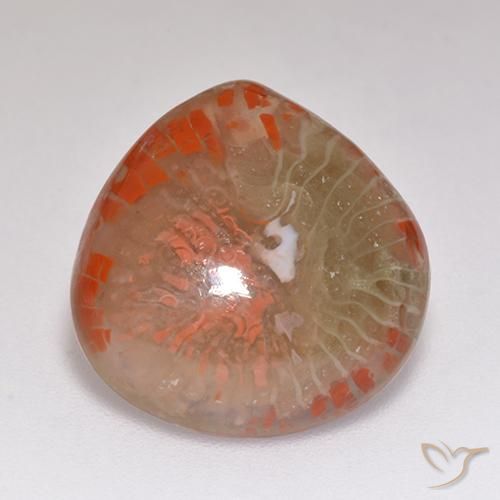 9.67ct Natural Multicolor Coral, Pear Shape, Translucent