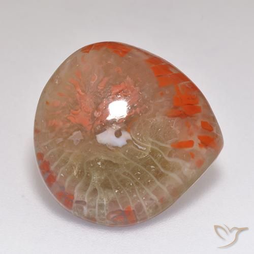 9.67 ct Multicolor Coral Stone, Natural Coral in Pear Cabochon Shape for Sale