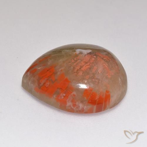 Coral Gemstone in 15.7 x 15 mm Size for Sale, Coral Stone in Multicolor Color