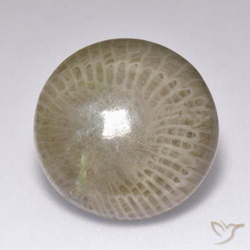 9.39 ct Round Coral, 15 mm From Indonesia, Photo A
