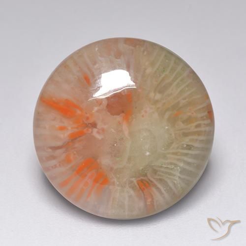 7.51 ct Round Coral, 14.1 mm From Indonesia, Photo A