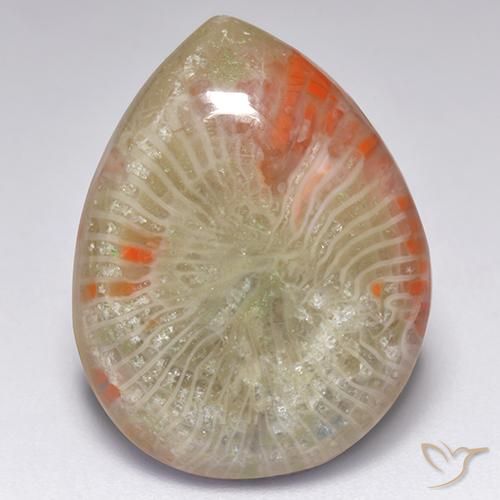 9.84 ct Pear Coral, 19.6 x 15 mm From Indonesia, Photo A
