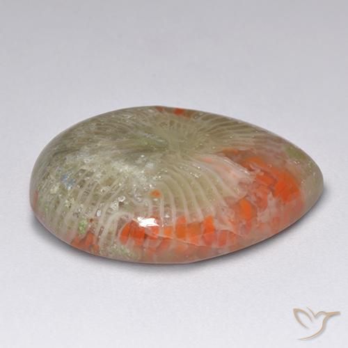 Coral Gemstone in 20 x 15 mm (calibrated) Size for Sale, Coral Stone in Multicolor Color
