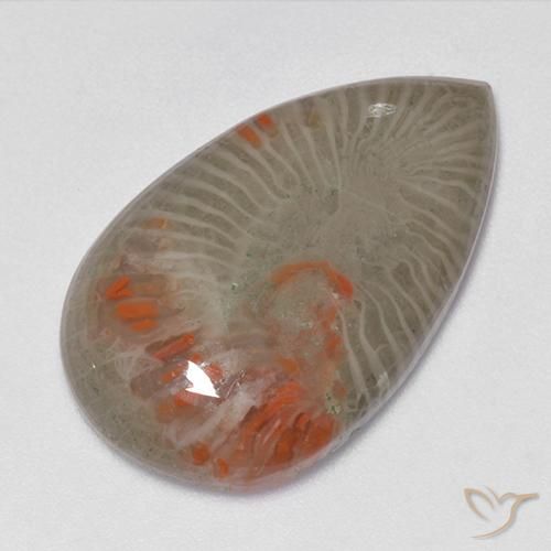 15.23ct Natural Multicolor Coral, Pear Shape, Translucent