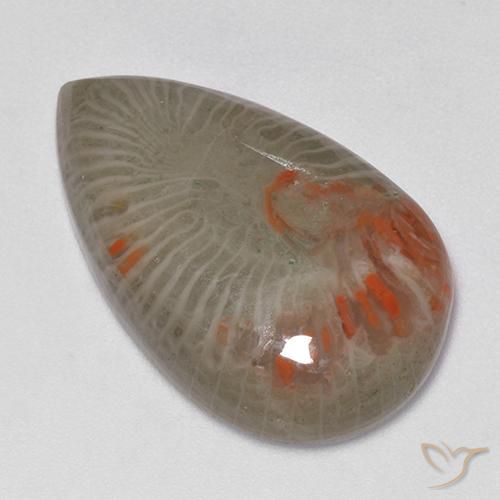15.23 ct Multicolor Coral Stone, Natural Coral in Pear Cabochon Shape for Sale