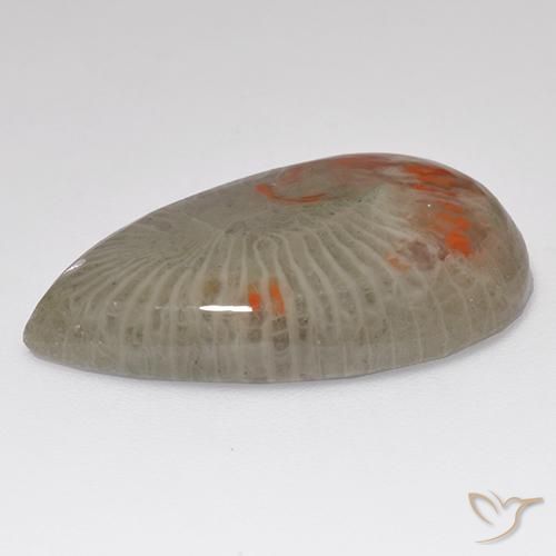 Coral Gemstone in 25.2 x 15.5 mm Size for Sale, Coral Stone in Multicolor Color