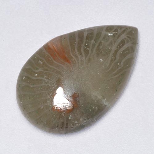 Multicolor Coral Gem - 4.1ct Pear Cabochon (ID: 518168)