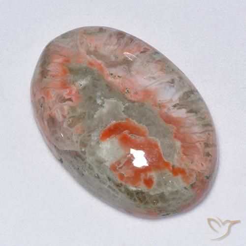 Corail Multicolore oval cabochon 13,71 ct d'Indonésie, dimension 21 x 14,3mm, pierre gemme naturelle Non traité, pureté Translucide, 1 pièce Corail de couleur Multicolore, dureté Mohs de 3 à 4, Photo A