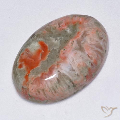 13.71 ct Multicolor Coral Stone, Natural Coral in Oval Cabochon Shape for Sale