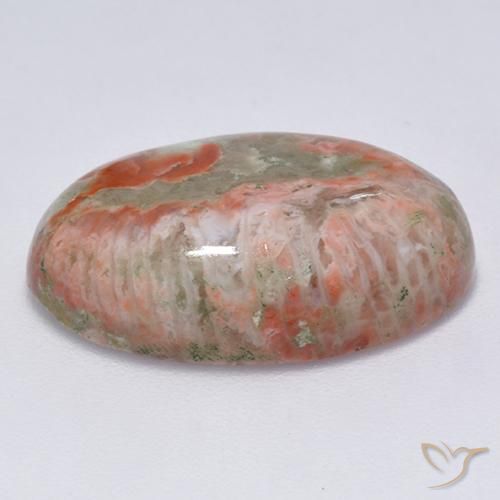 Coral Gemstone in 21 x 14.3 mm Size for Sale, Coral Stone in Multicolor Color
