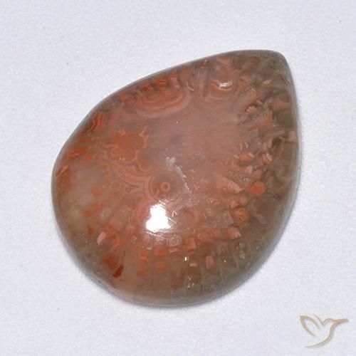 9.51ct Natural Multicolor Coral, Pear Shape, Translucent