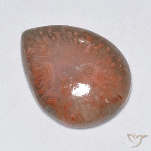 9.51 ct Multicolor Coral Stone, Natural Coral in Pear Cabochon Shape for Sale